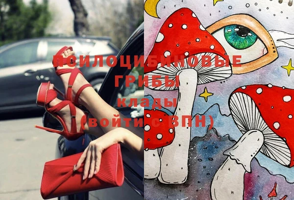 эйфоретик Вязники